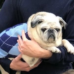 Meet your Posher, Austin